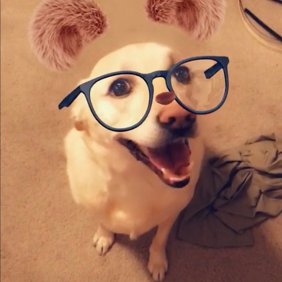 Meet your Posher, Brianna - Picture 7 of 8